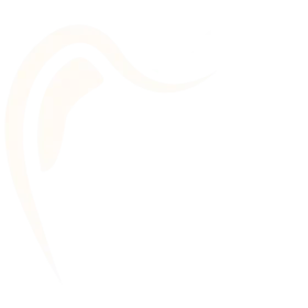 Gestor de tráfego pago para clínicas odontológicas